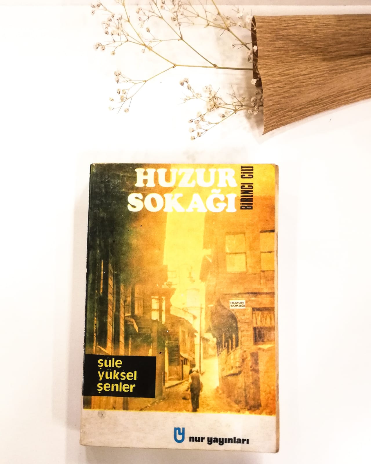 Huzur Sokağı-  Emine ŞENLİKOĞLU/Birinci Cilt